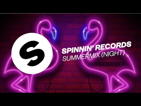 Spinnin' Records Summer Night Mix 2018 - UCpDJl2EmP7Oh90Vylx0dZtA