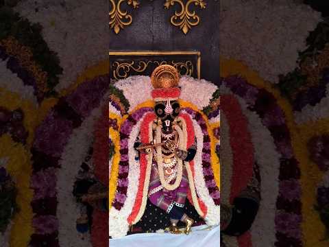 Govinda Sri Venkateswara as Lord Krishna #balaji #srivenkateswaraswamytemple #shorts #trending