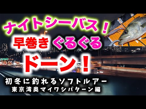 ナイトシーバス！早巻きぐるぐるドーン！ - 初冬に釣れるソフトルアー 東京湾奥マイワシパターン編 -