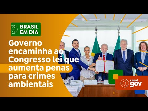 Governo encaminha ao Congresso lei que aumenta penas para crimes ambientais