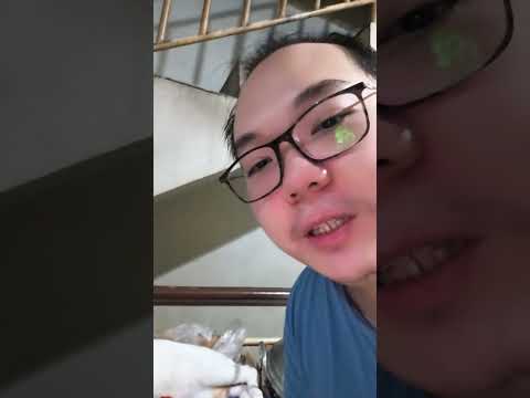 coba spill tempat tidur favorit anabul kalian #cat #kucing #kucinglucu #kucingimut #cats