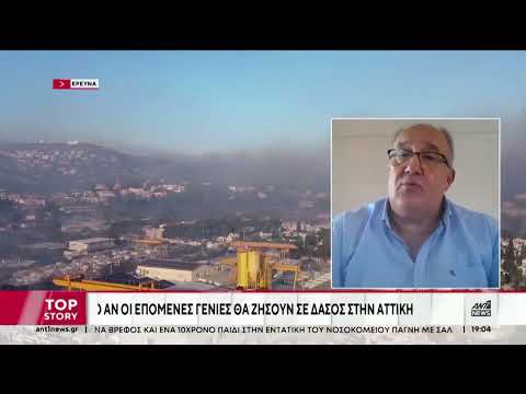 Φωτιά στην Αττική: Η αναγέννηση των δασών και οι σκέψεις για αντικατάσταση των πεύκων