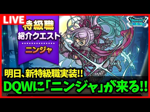 【ドラクエウォーク】新特級職『ニンジャ』実装！新装備もめちゃくちゃかわいい！新千里行にホラービーストも追加！！【雑談放送】