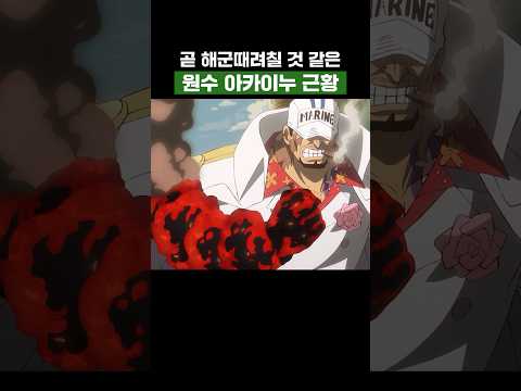 원피스) 곧 해군 때려칠 것 같은 <strong>원수</strong> 아카이누 근황 #원피스
