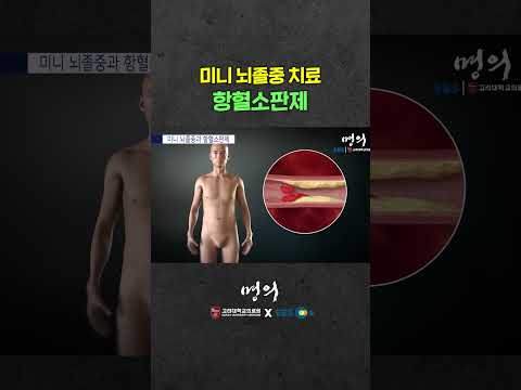 혈전 생성을 억제하는 항혈소판제