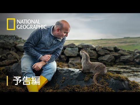 小さな島の愛と絆のカワウソ物語 – 予告編  | ナショジオ