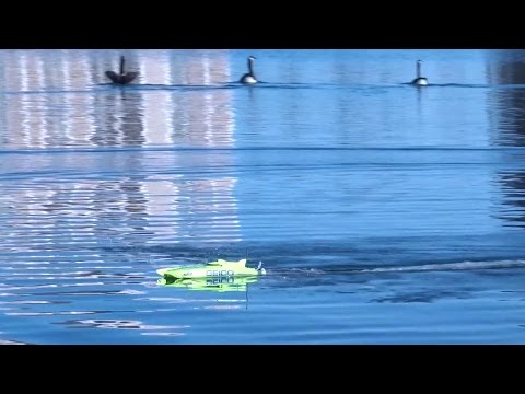 ProBoat - Miss GEICO 17 - Run with 2S LiPo - UCe7miXM-dRJs9nqaJ_7-Qww