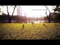 MV เพลง ปล่อย - Lullaby