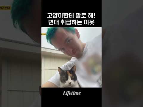 너 고양이 변태지?