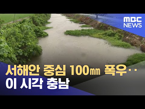 [특보] 서해안 중심 100㎜ 폭우‥이 시각 충남 (2023.06.29/뉴스특보/MBC)