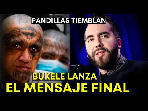 BUKELE LANZÓ un Mensaje a los CRIMINALES… y el Mundo Entero Reaccionó | El Salvador