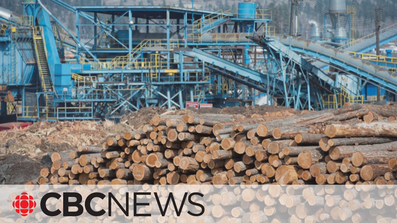 Canada officially challenging ‘unfair’ U.S. duties on softwood lumber
