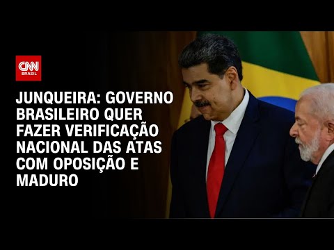 Junqueira: Governo brasileiro quer fazer verificação nacional das atas com oposição e Maduro | WW