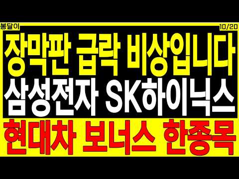 반도체 대장주 주가전망) 장막판 급락 비상입니다 #삼성전자 #SK하이닉스 #현대차 보너스 한 종목 | 디에스경제타임즈 봉달이