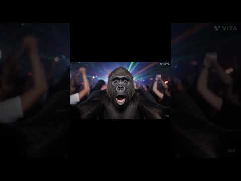 Curte e segue nóis! #gorilainfluencer #gorila #ia