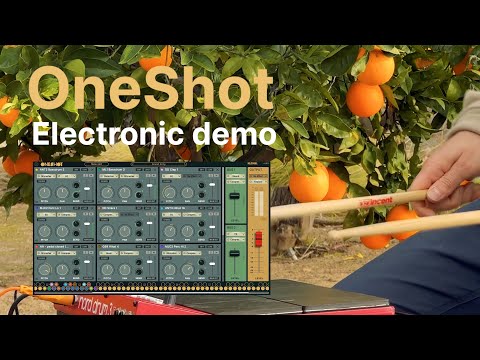 OneShot - Electronic Demo