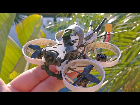 iFlight CineBee and Cine Whoops - UC4yjtLpqFmlVncUFExoVjiQ