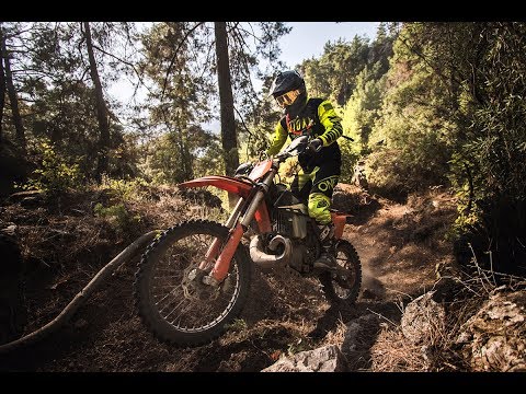 FOREST RACE - Red Bull Sea to Sky 2017 | Wade Young dominates the Forest Race! - UCsQK3AlyNb8WCv8nuVwrbzw