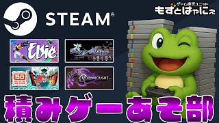 🐤#積みゲーあそ部 2025.06.30🐸ハヤニーのインディー大好き！【#もずとはゃにぇ】