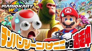 動画サムネイル