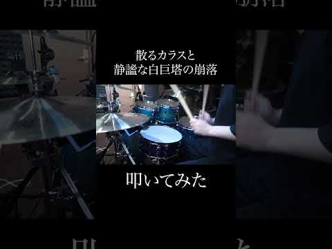 散るカラスと静謐な白巨塔の崩落 / こんにちは谷田さん#drumcover #叩いてみた #drum #drums #ドラム #konnichiwatanitasan #tatsuyakitani