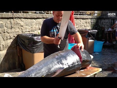 Fish Cutting in Sicily: Tuna and Swordfish - UCu9g5OmzcCpcJnmSYyHnIVw