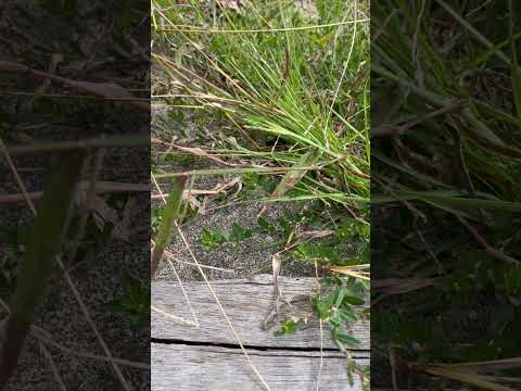 ngày 10 tháng 10, 2025