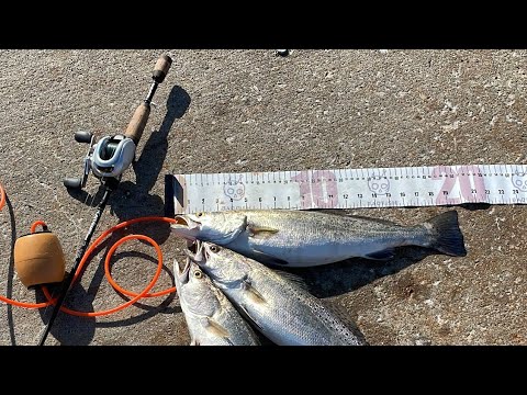 how to fish a 3 way swivel for speckled trout
