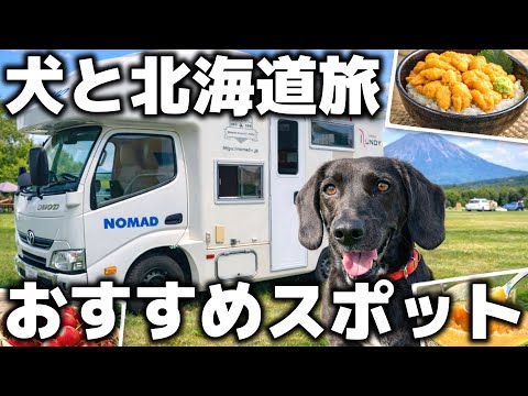 【保存版】犬と行く北海道おすすめスポット|キャンピングカー2泊3日で巡った場所まとめ