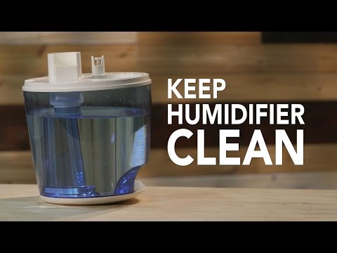 Smart Cleaning Tip #6: Keep Your Air Fresh | Consumer Reports - UCOClvgLYa7g75eIaTdwj_vg