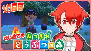 【あつ森】はじめてのあつ森 新住民来るか?!虫捕まえまくるぞ！ #あつまれどうぶつの森 #雑談 #vtuber #初見さん大歓迎