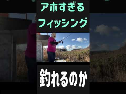 アフォすぎる魚釣り #ホラフキン #キャンプ動画  #フィッシング