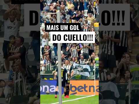 image para ilustrar o artigo