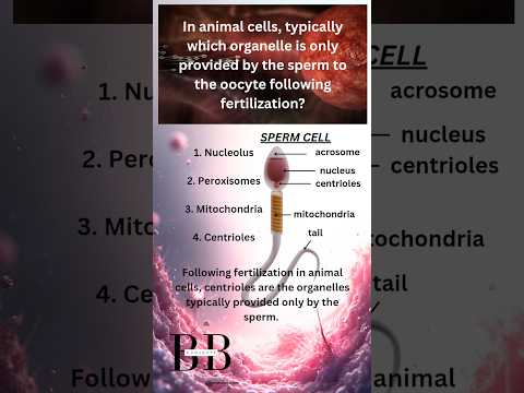 Centrioles of sperm #biology #zoology #biologyshorts #csirnet #ytshorts #ytshorts #yt #youtubeshorts