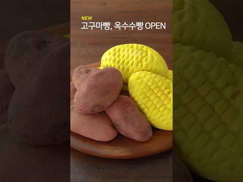 고구마빵, 옥수수빵, 감자빵 공구중