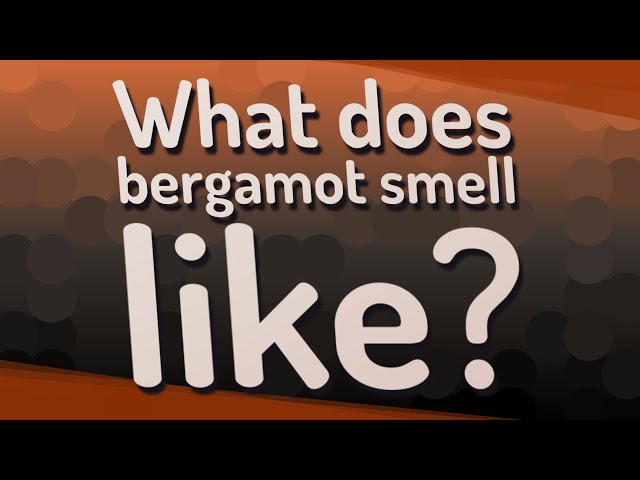 What Does Bergamot Smell Like?