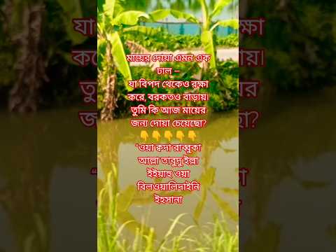 তুমি কি জানো, মায়ের দোয়া সন্তানের ভাগ্য বদলে দেয়? 🤲#মায়েরদোয়া #ইসলাম #বরকত #shortvideo #motivation