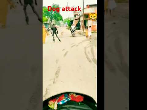 #skater को किस चीज से #डर लगता है 😆🤣ये वीडियो में आनंद please subscribe