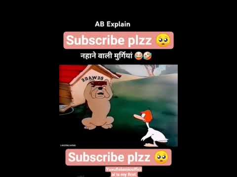 हाइब्रिड अंडो वाली मुर्गियां 🐓🐿️ #shortsvideo #youtubeshorts #viral #funny #comedy #cartoon