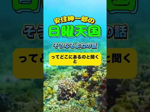 そうなるよねの話🤣#安住紳一郎の日曜天国 #日曜天国 #すべらない話