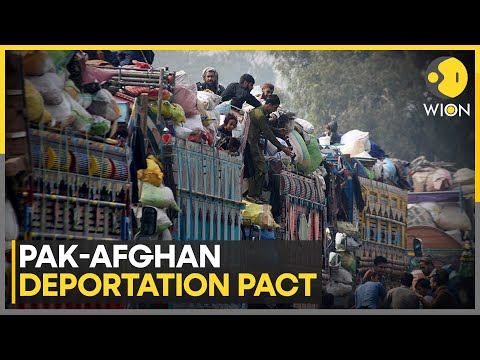Pakistan Announces Hotline For Afghan Refugees, Set Up Committee | World News | WION