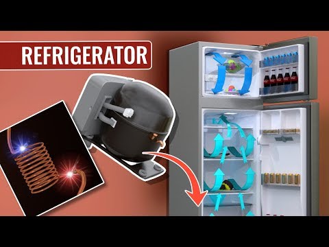 How does a Refrigerator work ? - UCqZQJ4600a9wIfMPbYc60OQ
