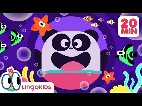 Let's Sing with these Ocean Songs 🐙 🐚 Underwater Songs for Kids | Lingokids