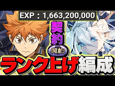【1周33億経験値】契約チャレンジでランク上げしよう！日向×クラウディア編成！【パズドラ】