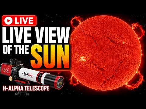 ☀️ LIVE: The Sun in Hydrogen Alpha RIGHT NOW | Solar Telescope Stream