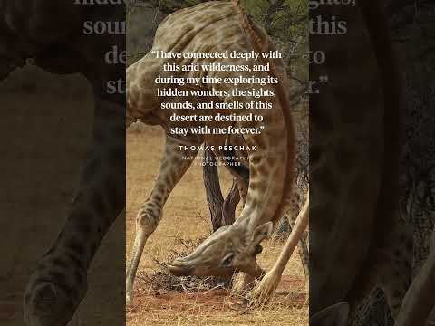 Paid content for @debeers