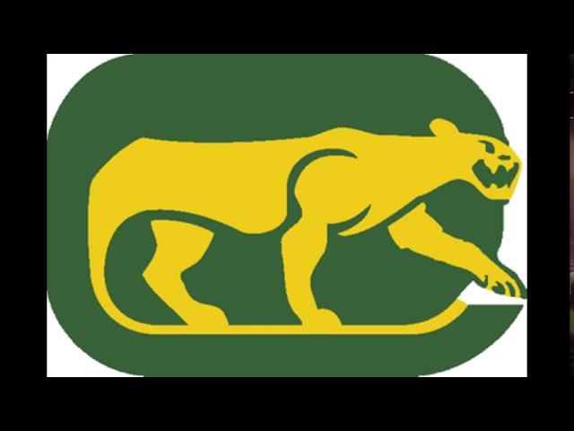 The Chicago Cougars Hockey Team is a Must-See