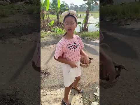 vidio kocak dan gokil @nyaikembang1nyaikembang1 /ternyata nenek yg ketemu 😁