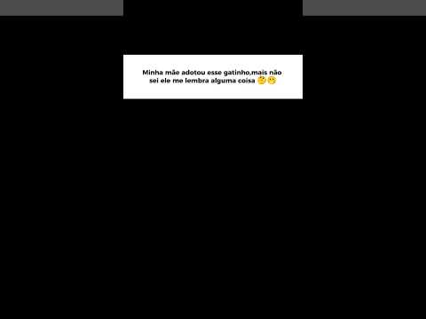 minha mãe adotou esse gato mais ele tá me lembro algo