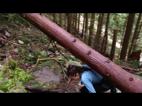 SHE ALMOST DIED!! - UC2wKfjlioOCLP4xQMOWNcgg